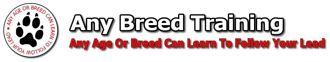 Any Breed K9 Training -- Any age or breed can learn to follow your lead.